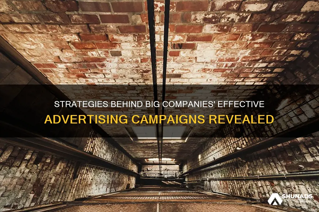 how do big companies advertise