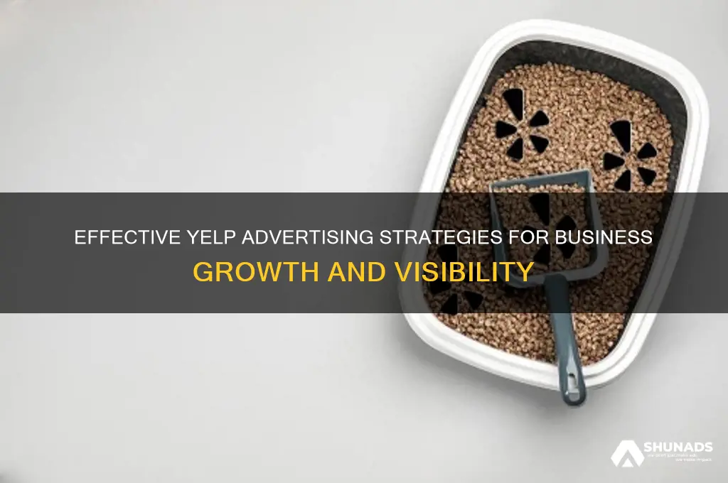 how do businesses advertise of yelp