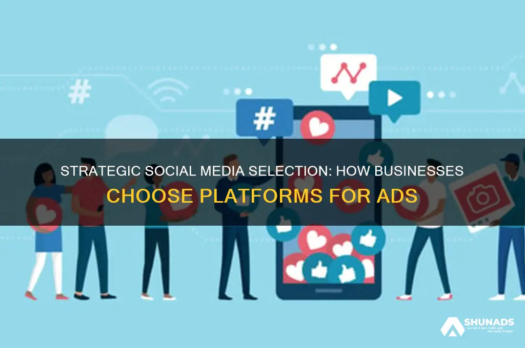 how do businesses chose which social media to advertise on