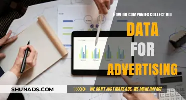 How Companies Leverage Big Data Collection for Targeted Advertising Strategies