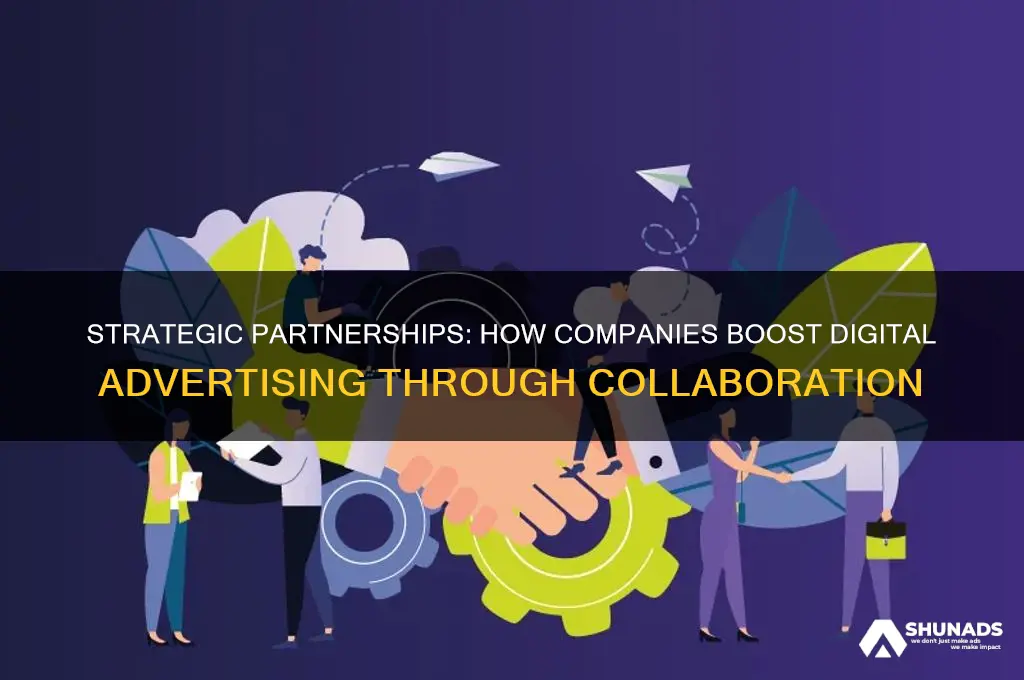how do companies use partnerships for digital advertising