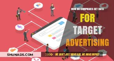 How Companies Collect Data for Targeted Advertising Campaigns