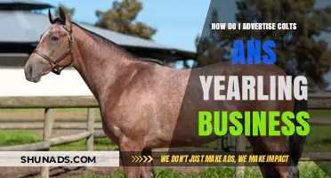 Effective Strategies to Advertise Your Colts and Yearling Business Successfully