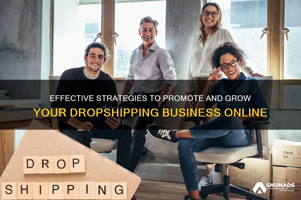 how do i advertise my dropshipping business