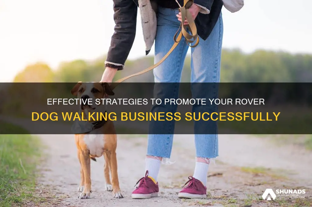 how do i advertise my rover dog walking business