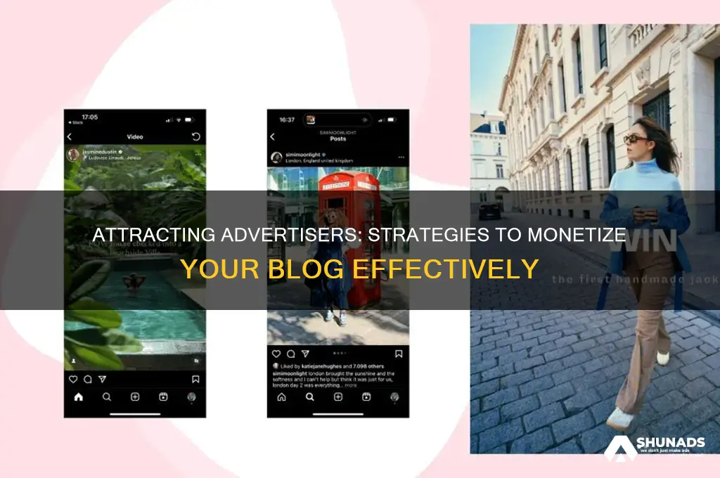 how do i get an advertiser to use my blog