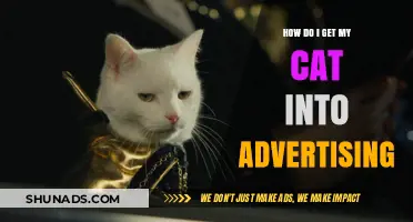 How to Launch Your Cat's Career in Advertising: A Guide