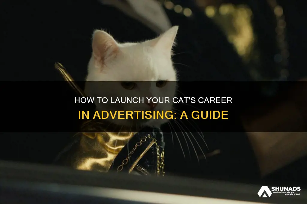 how do i get my cat into advertising