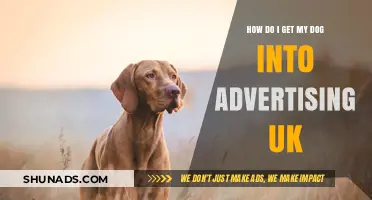 Launch Your Dog's UK Ad Career: A Step-by-Step Guide