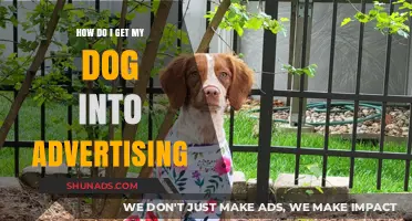 Launch Your Dog's Modeling Career: A Guide to Pet Advertising