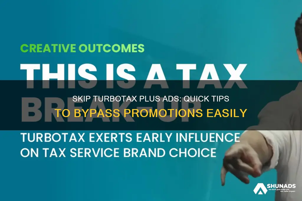 how do i get past the plus advertisement in turbotax