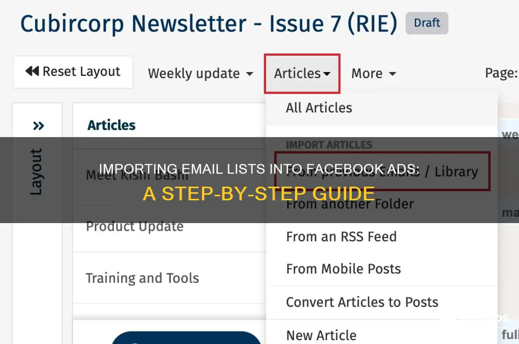 how do i import email list into facebook advertising