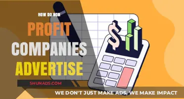 Effective Advertising Strategies for Non-Profit Companies on a Budget