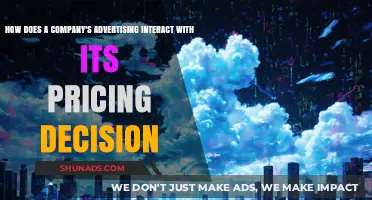 Advertising and Pricing: How Campaigns Influence Cost Strategies
