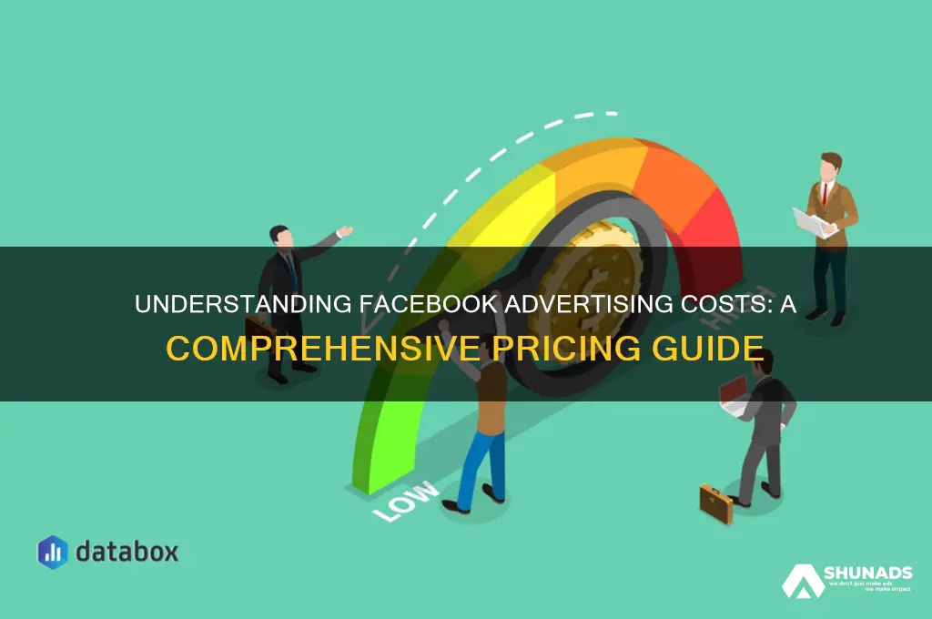 how does facebook advertising pricing work