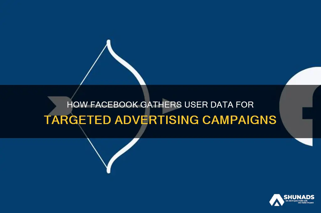 how does facebook capture information for advertising