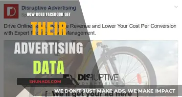 Unveiling Facebook's Advertising Data Collection Methods and Strategies