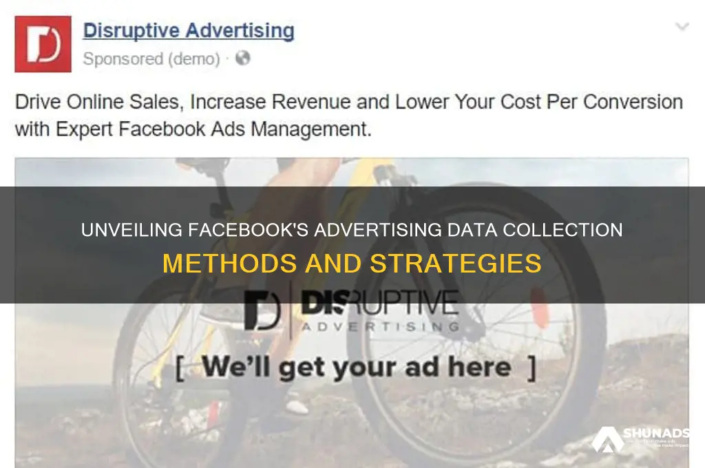 how does facebook get their advertising data