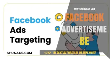 Unlocking Precision: How Granular Can Facebook Advertisements Truly Get?