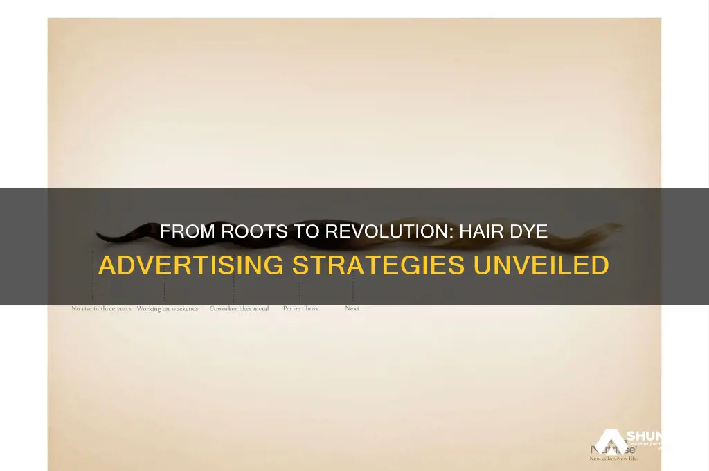 how hair dye companies advertised