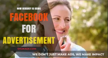 Hershey's Sweet Success: Leveraging Facebook Ads for Brand Growth