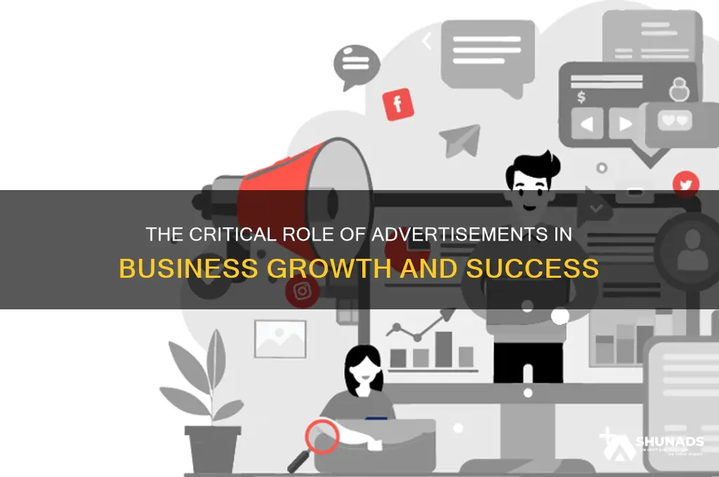 how important are advertisements to business