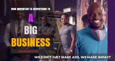 The Critical Role of Advertising in Big Business Success