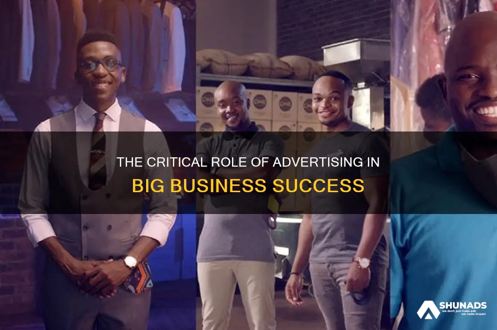 how important is advertising to a big business
