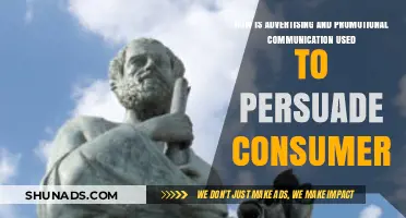 Persuasive Strategies: How Advertising and Promotions Influence Consumer Decisions
