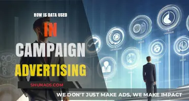 Data-Driven Strategies: Revolutionizing Campaign Advertising with Targeted Insights