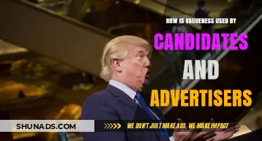 Vague Promises, Clever Ads: How Ambiguity Influences Elections and Marketing