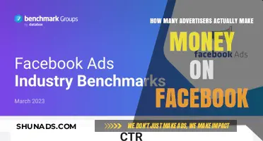 Do Facebook Ads Pay Off? Analyzing Advertiser Profitability and Success