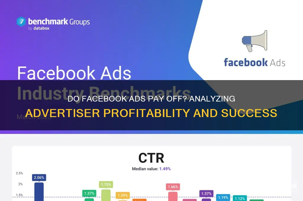 how many advertisers actually make money on facebook