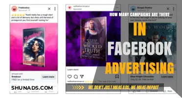 Exploring the Variety of Campaign Options in Facebook Advertising