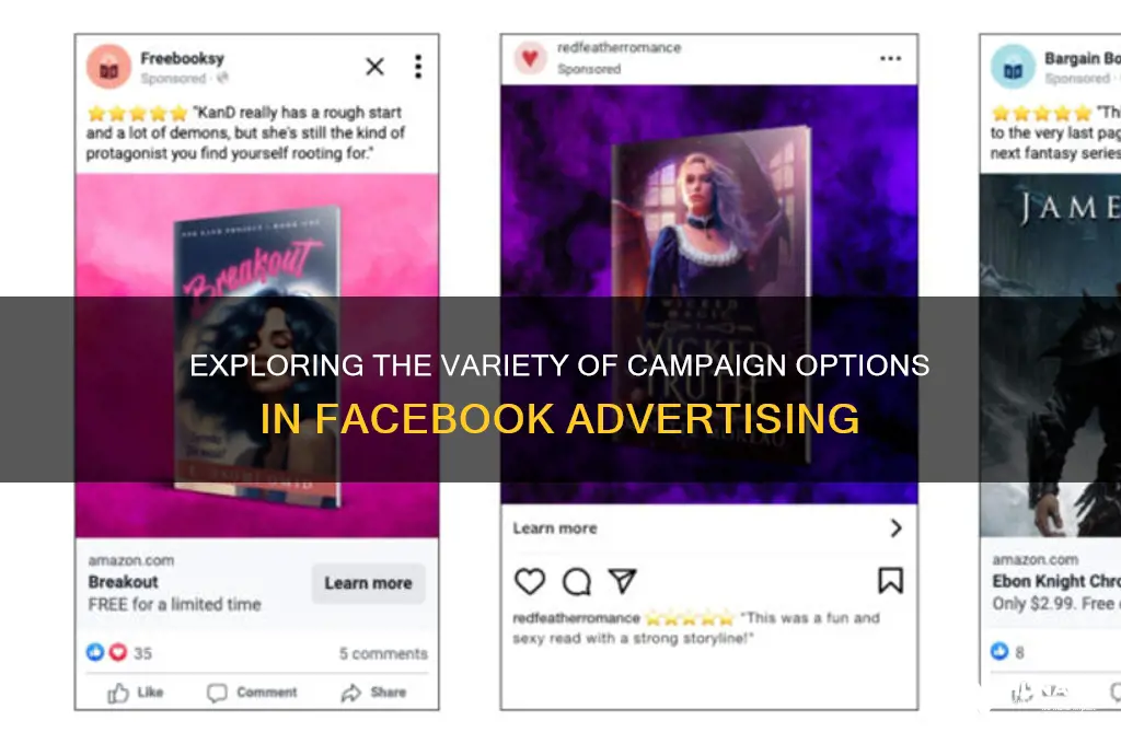 how many campaigns are there in facebook advertising