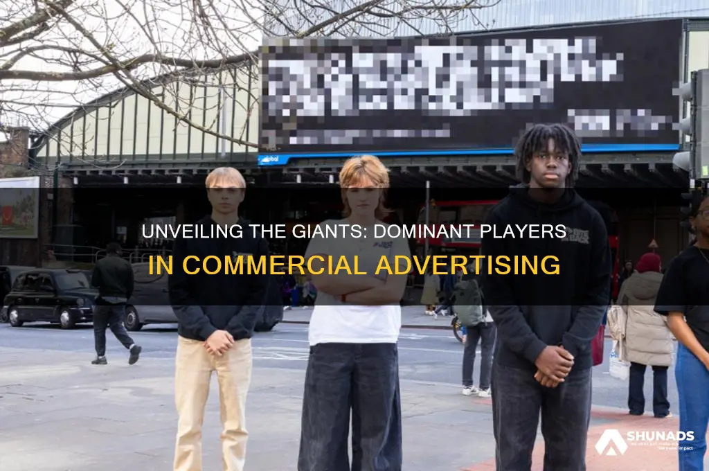 how many companies dominate the commercial advertising industry