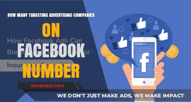 Unveiling the Count: Targeting Advertising Companies on Facebook Revealed