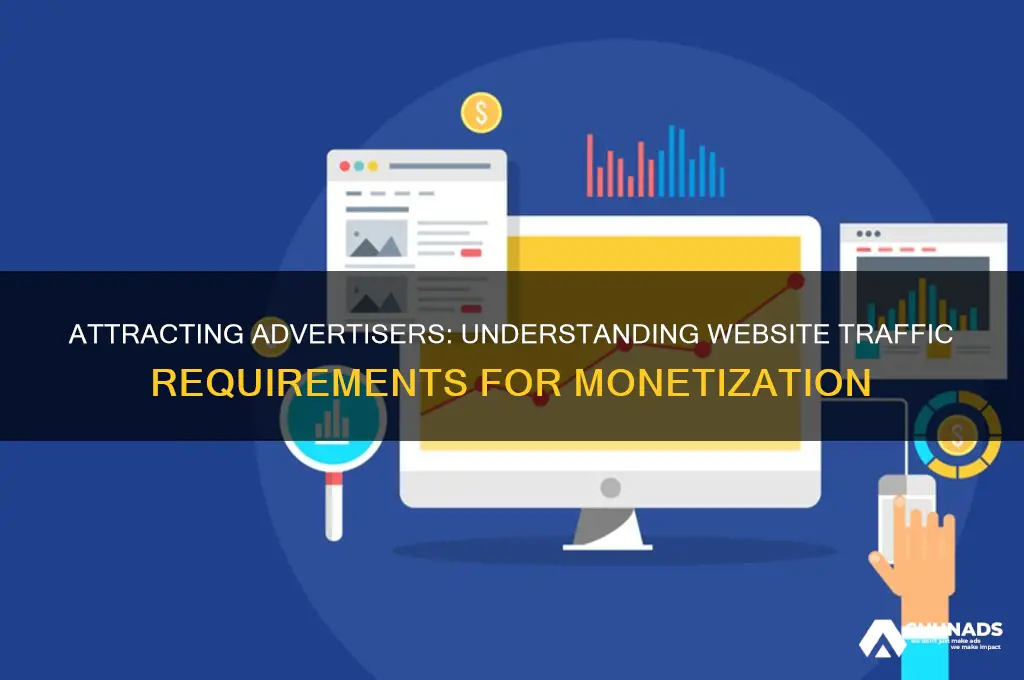 how many visitors does a website need to get advertising