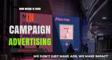 Media's Role in Shaping Campaign Advertising Strategies and Voter Perception