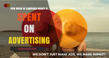 Decoding the Dollars: Where Campaign Money Meets Advertising