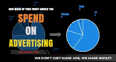 Boosting Business: The Optimal Advertising Spend for Maximum ROI
