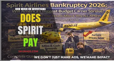 Decoding Spirit Airlines' Advertising Budget: A Financial Deep Dive