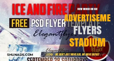 Maximizing Impact: The Cost and ROI of Ice Advertisement Flyers in Stadiums