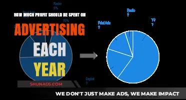 Optimal Advertising Spend: Maximizing Profits and ROI