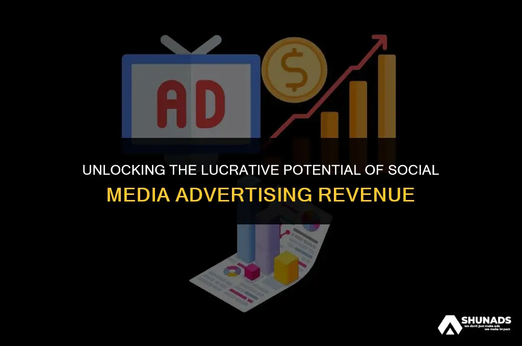 how much revenue comes from social media advertising