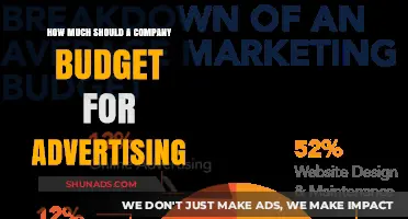 Strategic Advertising Budgeting: A Guide for Companies