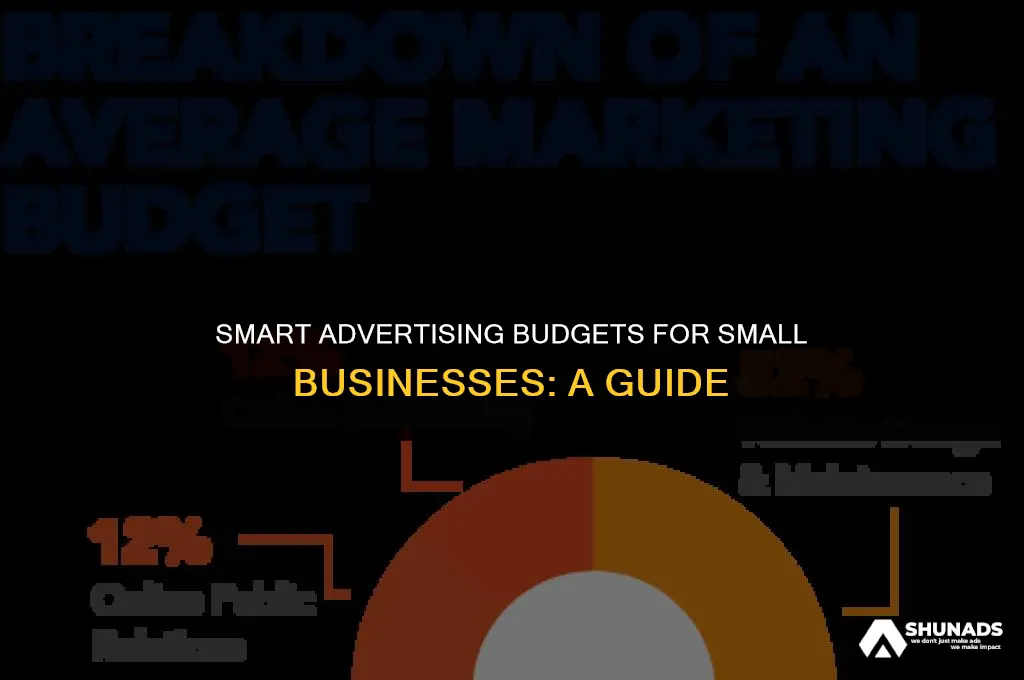 how much should a small business budget for advertising
