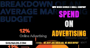 Boosting Visibility: A Guide to Advertising Budgets for Small Companies