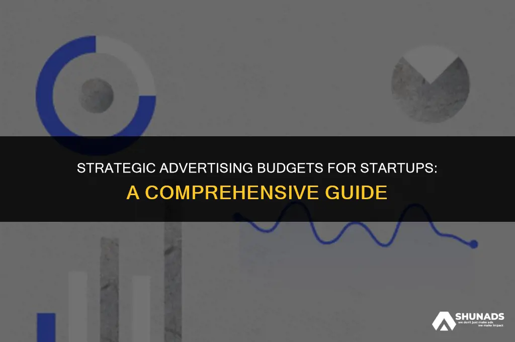how much should a start up spend on advertising
