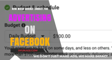 Smart Budgeting for Facebook Ads: A Guide to Maximizing ROI